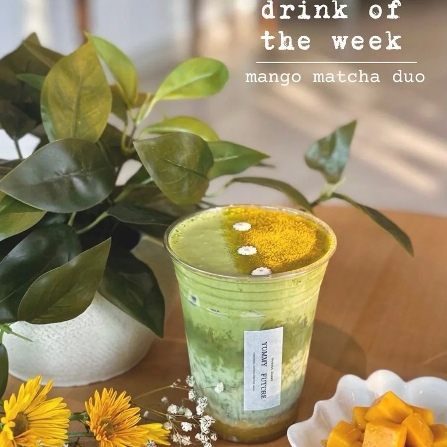 Mango Matcha Duo with sunflowers
